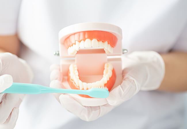 ブラッシング指導イメージ写真